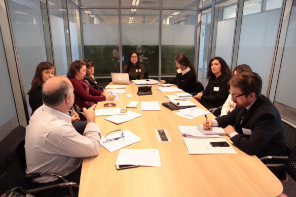 ciclo capacidad juridica personas con discapacidad intelectual 12